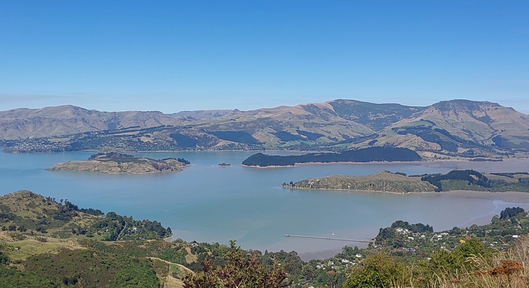 chch green sustainability